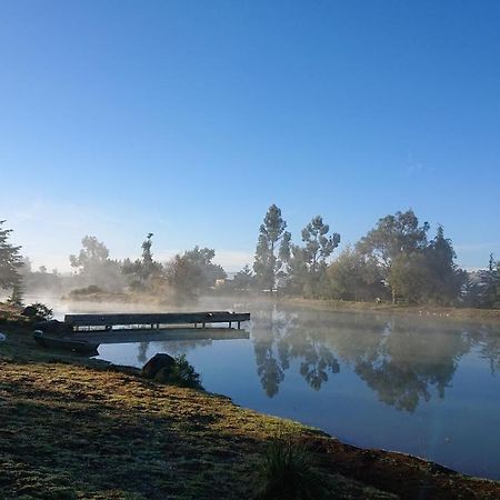 Cabanas Tapalpa Sierra Del Tecuan, Cabana Lince Zewnętrze zdjęcie