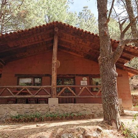 Cabanas Tapalpa Sierra Del Tecuan, Cabana Lince Zewnętrze zdjęcie