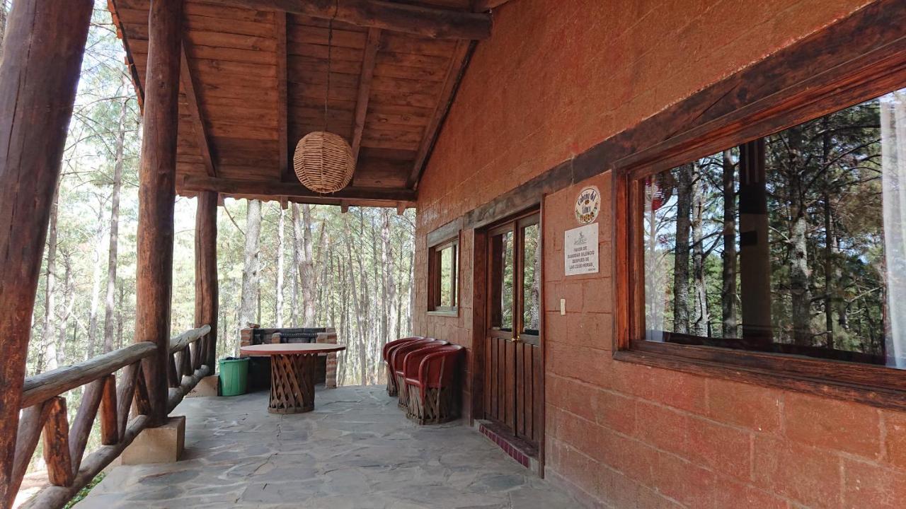 Cabanas Tapalpa Sierra Del Tecuan, Cabana Lince Zewnętrze zdjęcie