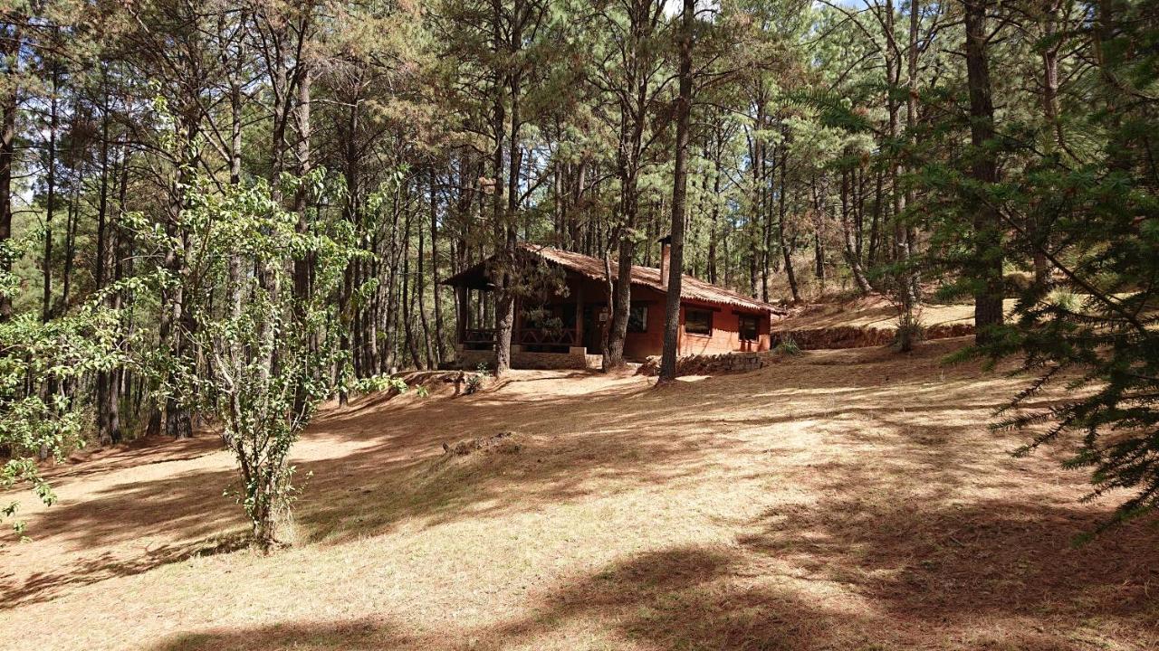 Cabanas Tapalpa Sierra Del Tecuan, Cabana Lince Zewnętrze zdjęcie