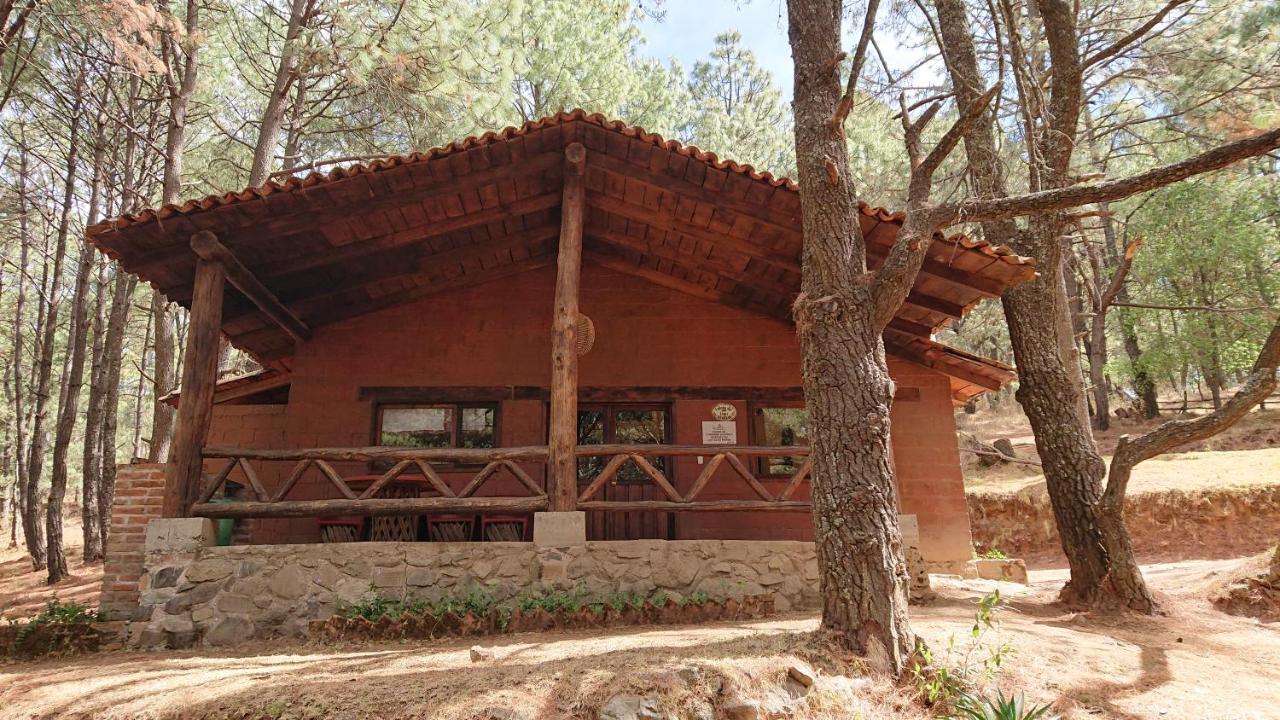 Cabanas Tapalpa Sierra Del Tecuan, Cabana Lince Zewnętrze zdjęcie